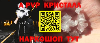 дживик Моздок