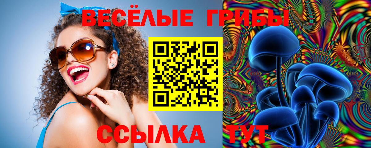 Ставрополь  купить  цена  Вход с VPN  Псилоцибиновые грибы GOLDEN TEACHER 