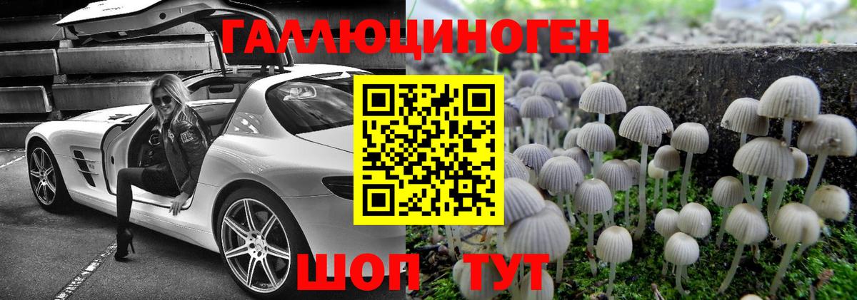 Галлюциногенные грибы Cubensis Ставрополь
