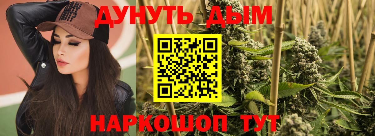 Шишки марихуана сатива  Каннабис марихуана  Ставрополь  Вход с VPN  Каннабис планчик 