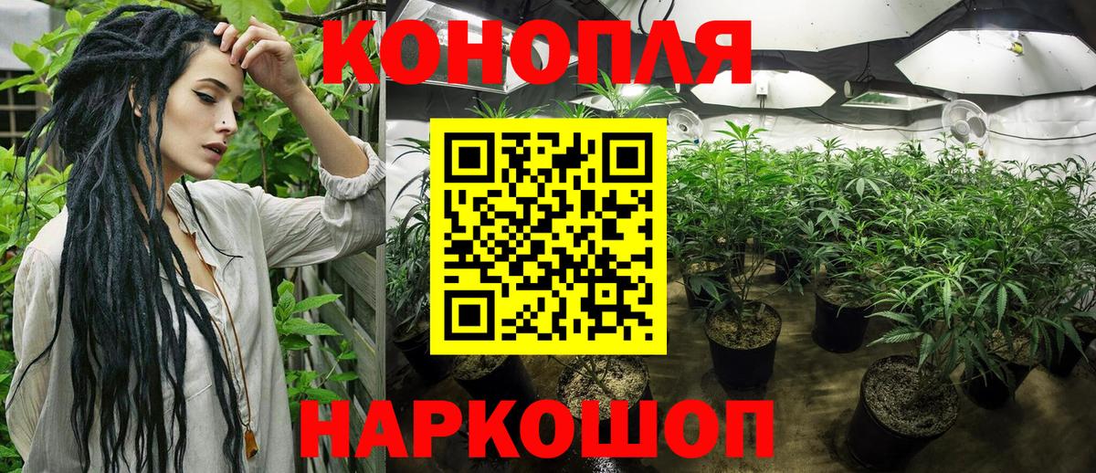 Конопля Ganja Ставрополь